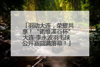 羽动大连，荣耀共享！“诺维溪谷杯”大连·李永波羽毛球公开赛圆满落幕！