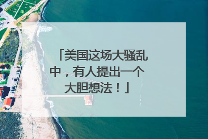 美国这场大骚乱中，有人提出一个大胆想法！
