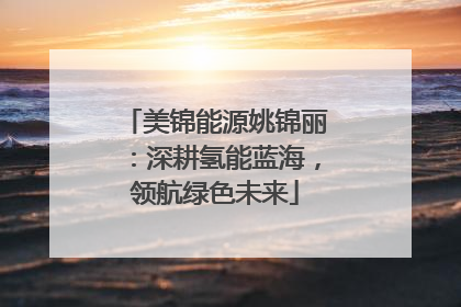 美锦能源姚锦丽：深耕氢能蓝海，领航绿色未来