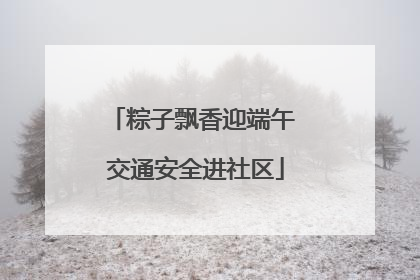 粽子飘香迎端午 交通安全进社区