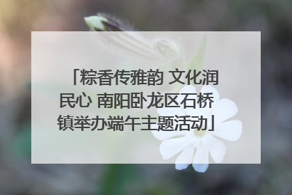 粽香传雅韵 文化润民心 南阳卧龙区石桥镇举办端午主题活动
