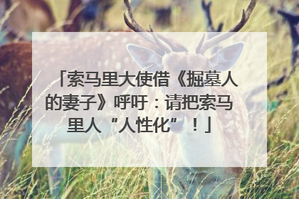 索马里大使借《掘墓人的妻子》呼吁：请把索马里人“人性化”！