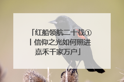 红船领航二十载①丨信仰之光如何照进嘉禾千家万户