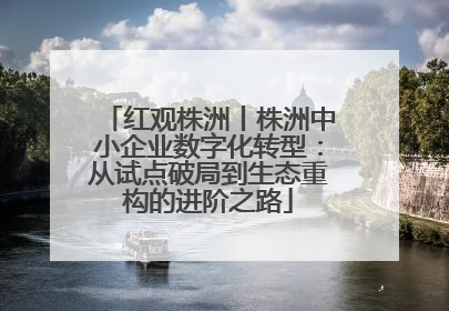 红观株洲丨株洲中小企业数字化转型：从试点破局到生态重构的进阶之路