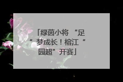 绿茵小将 “足”梦成长！榕江“园超”开赛