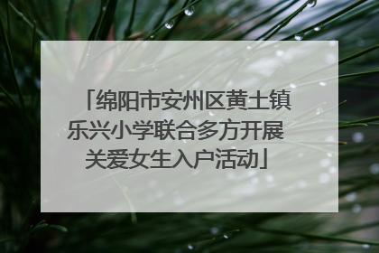 绵阳市安州区黄土镇乐兴小学联合多方开展关爱女生入户活动