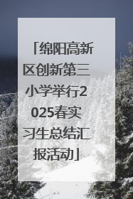 绵阳高新区创新第三小学举行2025春实习生总结汇报活动