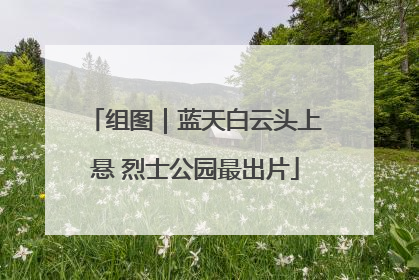 组图｜蓝天白云头上悬 烈士公园最出片