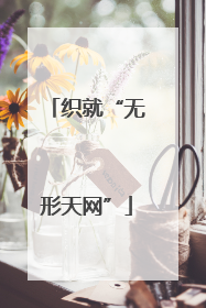 织就“无形天网”