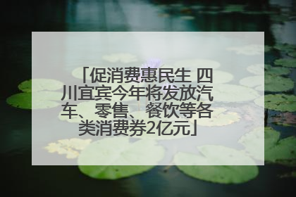 促消费惠民生 四川宜宾今年将发放汽车、零售、餐饮等各类消费券2亿元