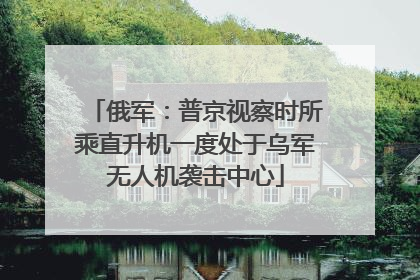 俄军：普京视察时所乘直升机一度处于乌军无人机袭击中心