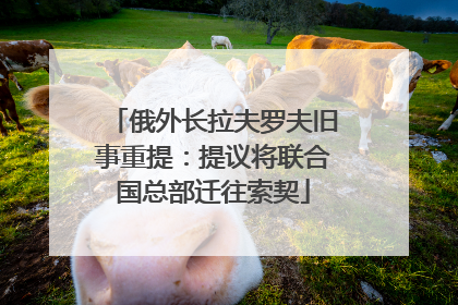 俄外长拉夫罗夫旧事重提：提议将联合国总部迁往索契