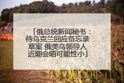 俄总统新闻秘书：待乌克兰回应备忘录草案 俄美乌领导人近期会晤可能性小