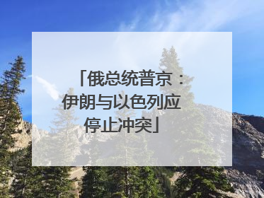 俄总统普京：伊朗与以色列应停止冲突