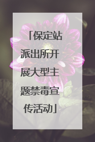保定站派出所开展大型主题禁毒宣传活动