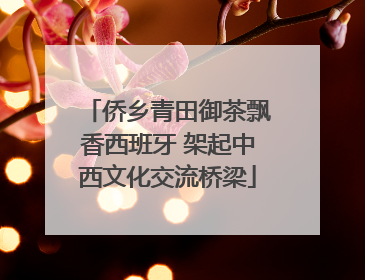 侨乡青田御茶飘香西班牙 架起中西文化交流桥梁
