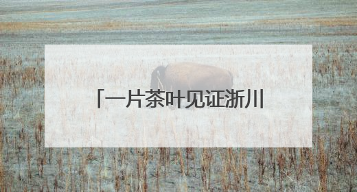 一片茶叶见证浙川情深 四川广元携“感恩茶”赴杭推介