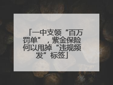 一中支领“百万罚单”，紫金保险何以甩掉“违规频发”标签