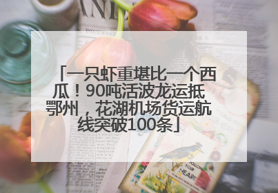 一只虾重堪比一个西瓜！90吨活波龙运抵鄂州，花湖机场货运航线突破100条