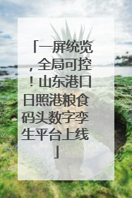 一屏统览，全局可控！山东港口日照港粮食码头数字孪生平台上线
