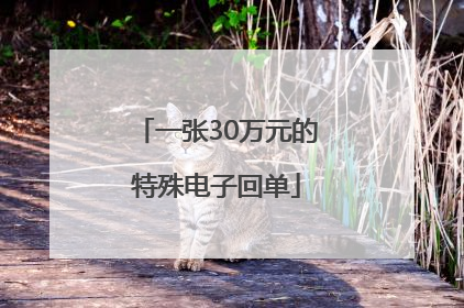 一张30万元的特殊电子回单