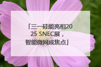三一硅能亮相2025 SNEC展，智能微网成焦点