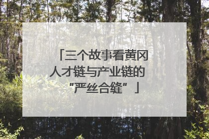 三个故事看黄冈人才链与产业链的“严丝合缝”