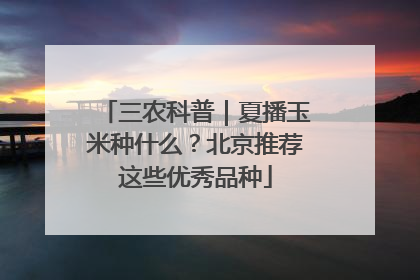 三农科普｜夏播玉米种什么？北京推荐这些优秀品种