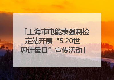 上海市电能表强制检定站开展“5·20世界计量日”宣传活动