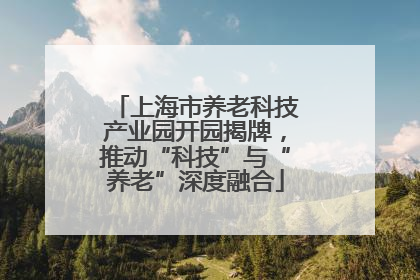上海市养老科技产业园开园揭牌，推动“科技”与“养老”深度融合