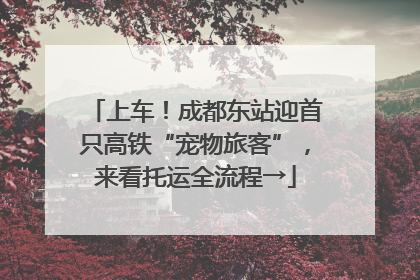 上车！成都东站迎首只高铁“宠物旅客”，来看托运全流程→