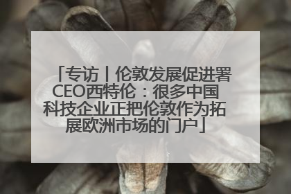专访丨伦敦发展促进署CEO西特伦：很多中国科技企业正把伦敦作为拓展欧洲市场的门户