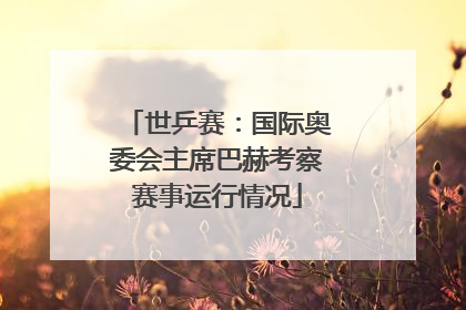 世乒赛：国际奥委会主席巴赫考察赛事运行情况