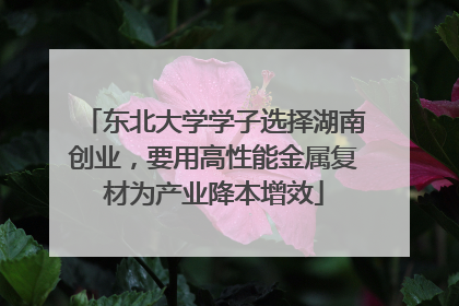 东北大学学子选择湖南创业，要用高性能金属复材为产业降本增效