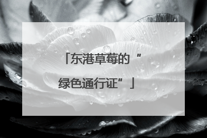 东港草莓的“绿色通行证”