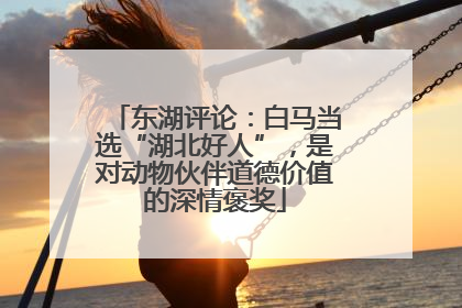 东湖评论：白马当选“湖北好人”，是对动物伙伴道德价值的深情褒奖