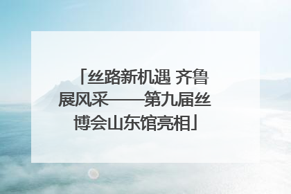 丝路新机遇 齐鲁展风采——第九届丝博会山东馆亮相