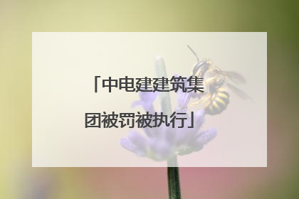 中电建建筑集团被罚被执行