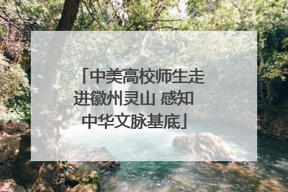 中美高校师生走进徽州灵山 感知中华文脉基底