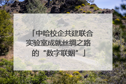 中哈校企共建联合实验室成就丝绸之路的“数字联姻”