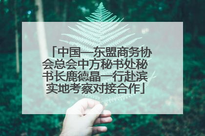 中国—东盟商务协会总会中方秘书处秘书长鹿德晶一行赴滨实地考察对接合作