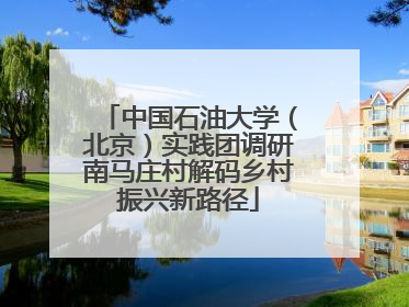 中国石油大学（北京）实践团调研南马庄村解码乡村振兴新路径