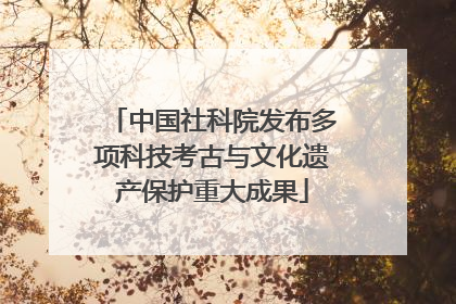 中国社科院发布多项科技考古与文化遗产保护重大成果