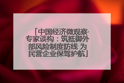 中国经济微观察·专家谈构：筑抵御外部风险制度防线 为民营企业保驾护航