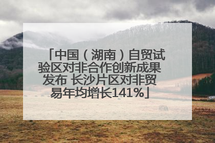 中国（湖南）自贸试验区对非合作创新成果发布 长沙片区对非贸易年均增长141%
