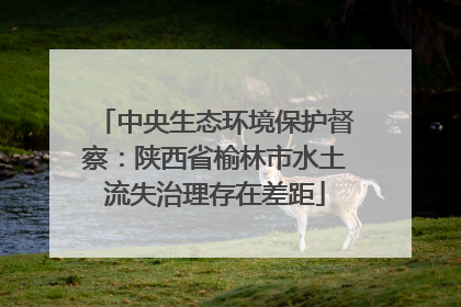 中央生态环境保护督察：陕西省榆林市水土流失治理存在差距