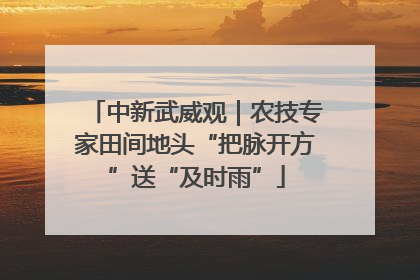 中新武威观｜农技专家田间地头“把脉开方”送“及时雨”