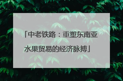 中老铁路：重塑东南亚水果贸易的经济脉搏