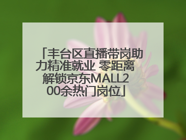 丰台区直播带岗助力精准就业 零距离解锁京东MALL200余热门岗位