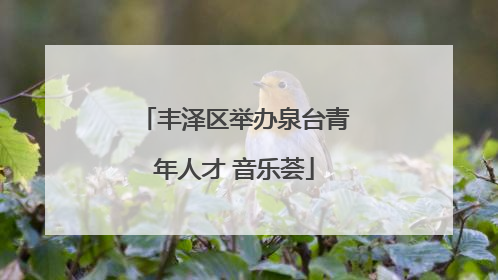 丰泽区举办泉台青年人才 音乐荟